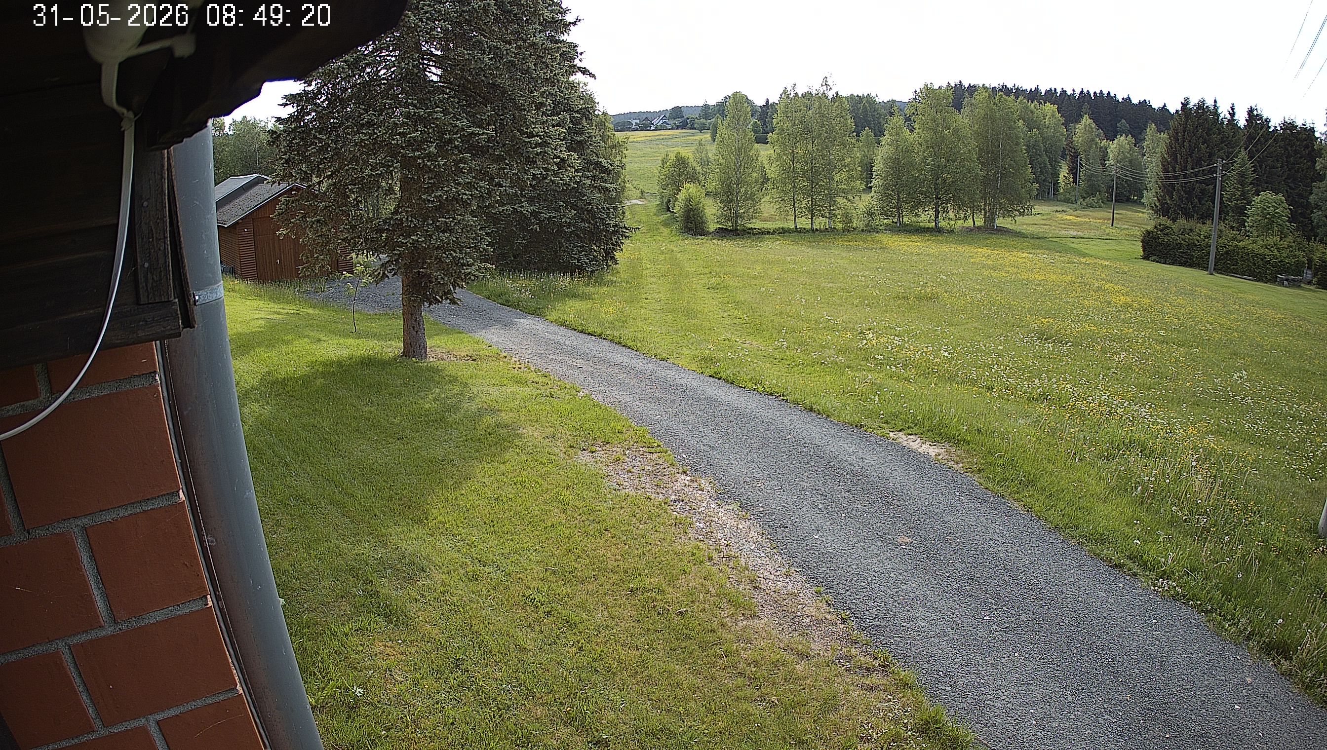 Webcam img missing