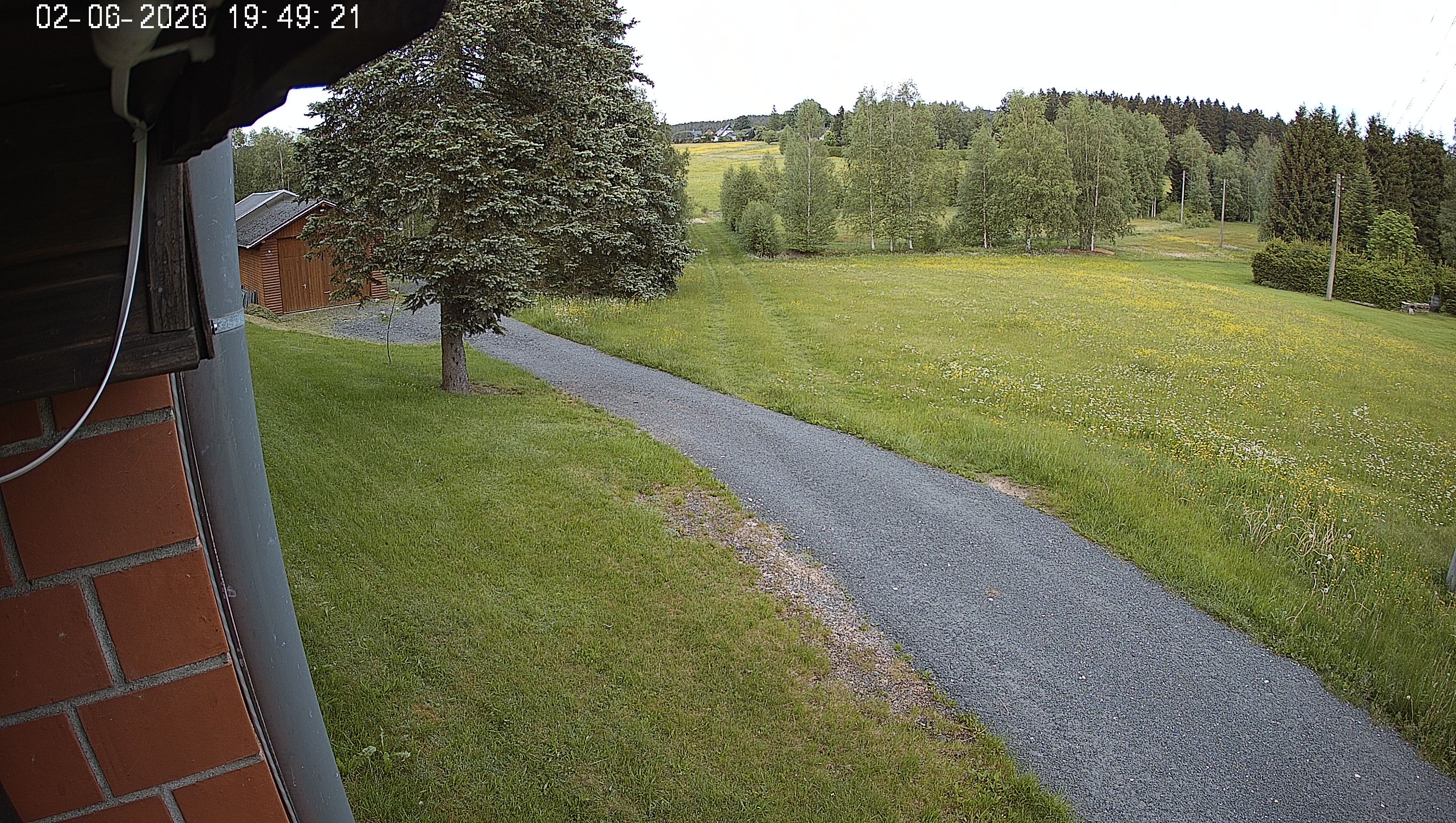 Webcam img missing
