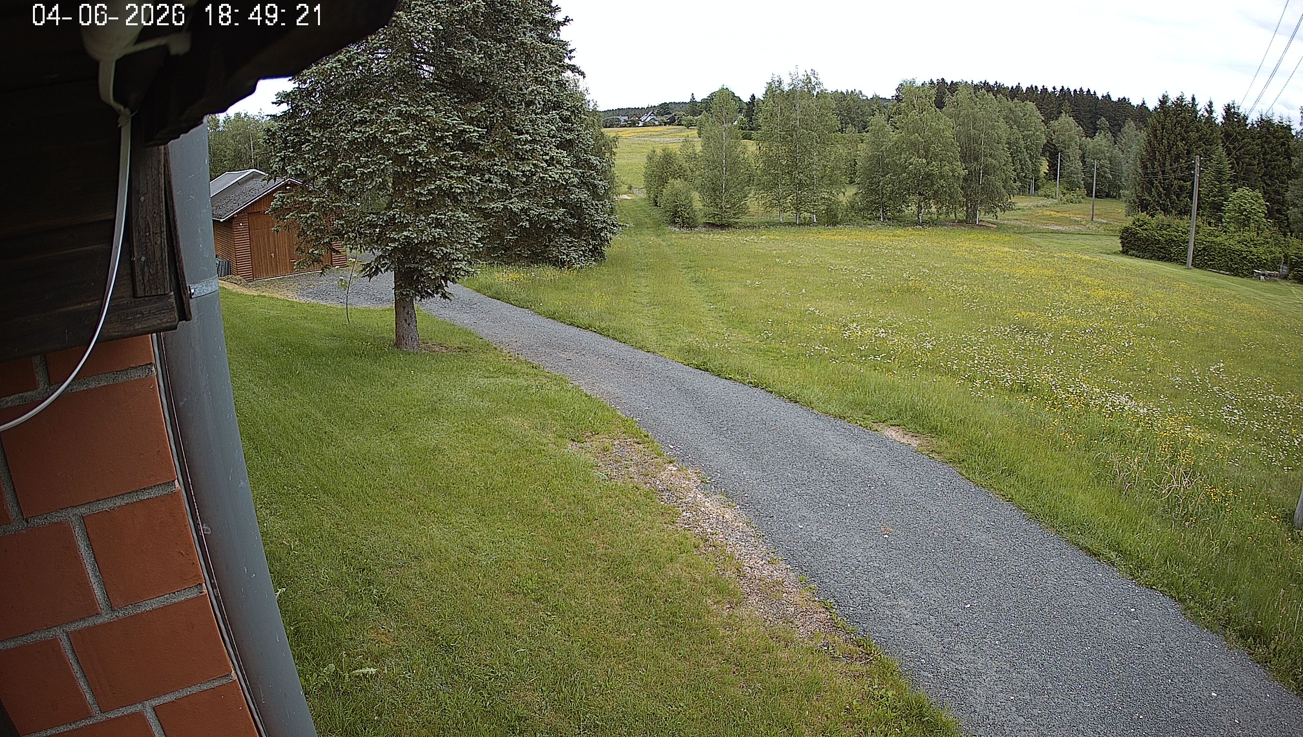Webcam img missing