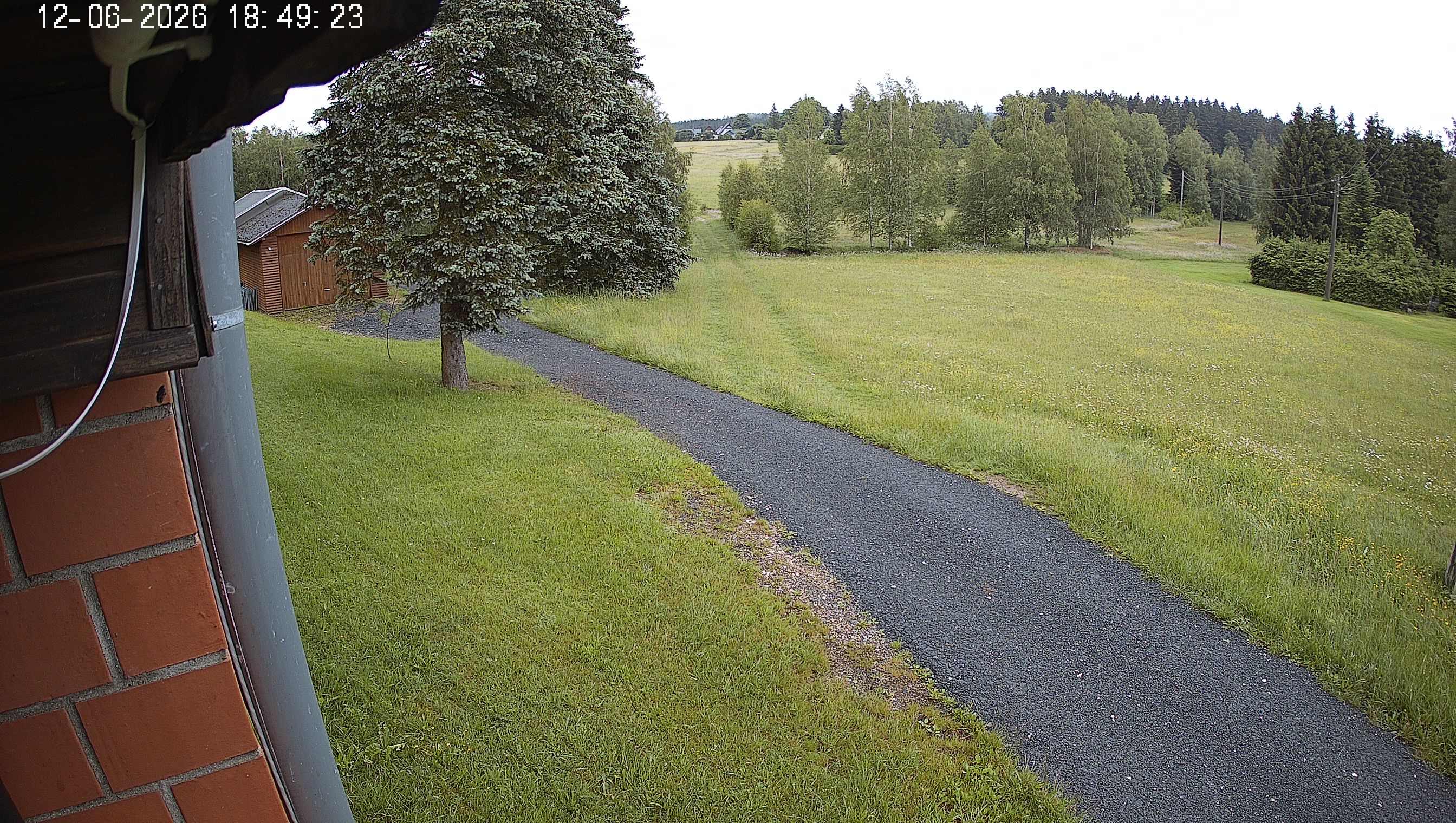 Webcam img missing