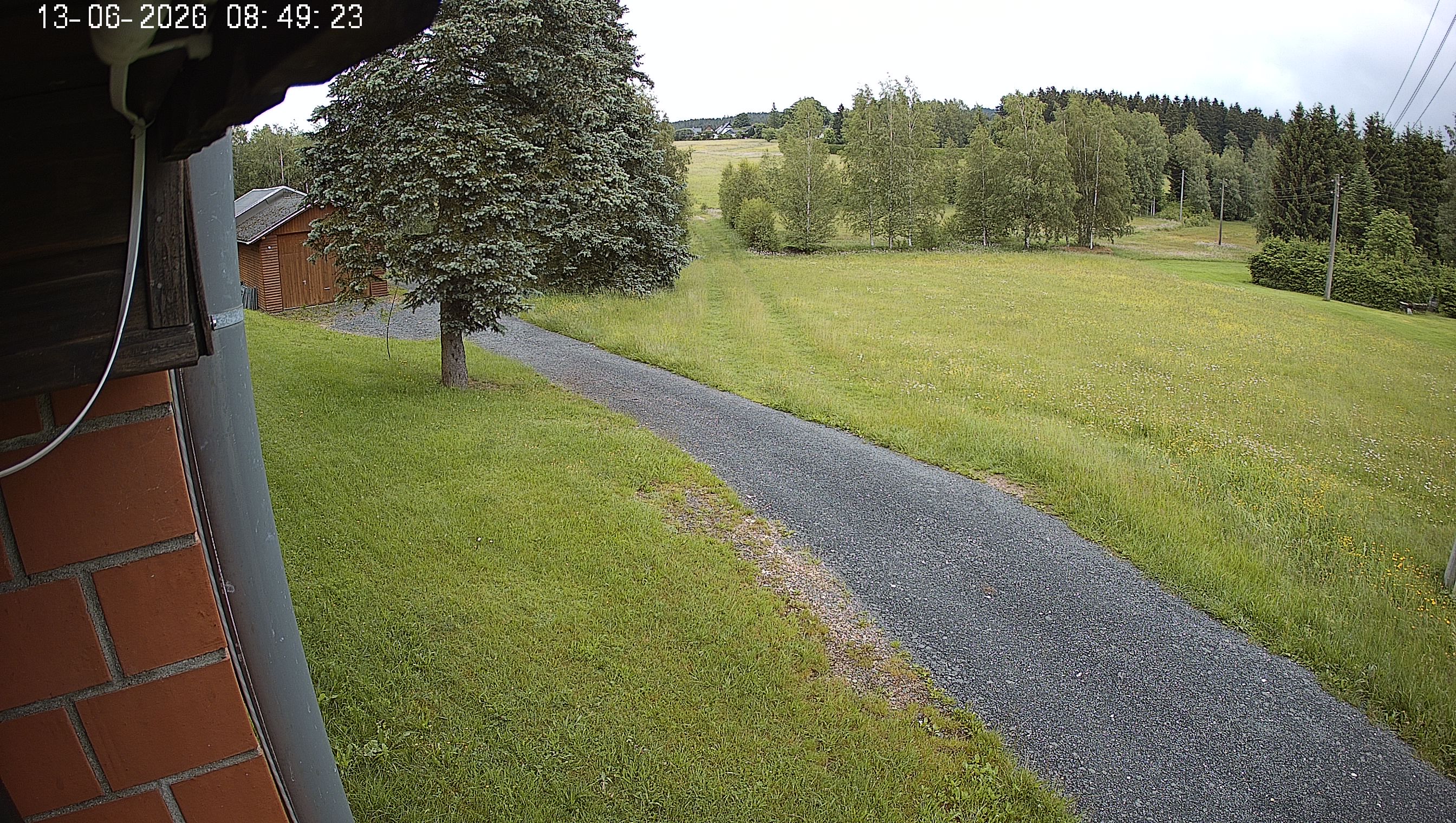 Webcam img missing