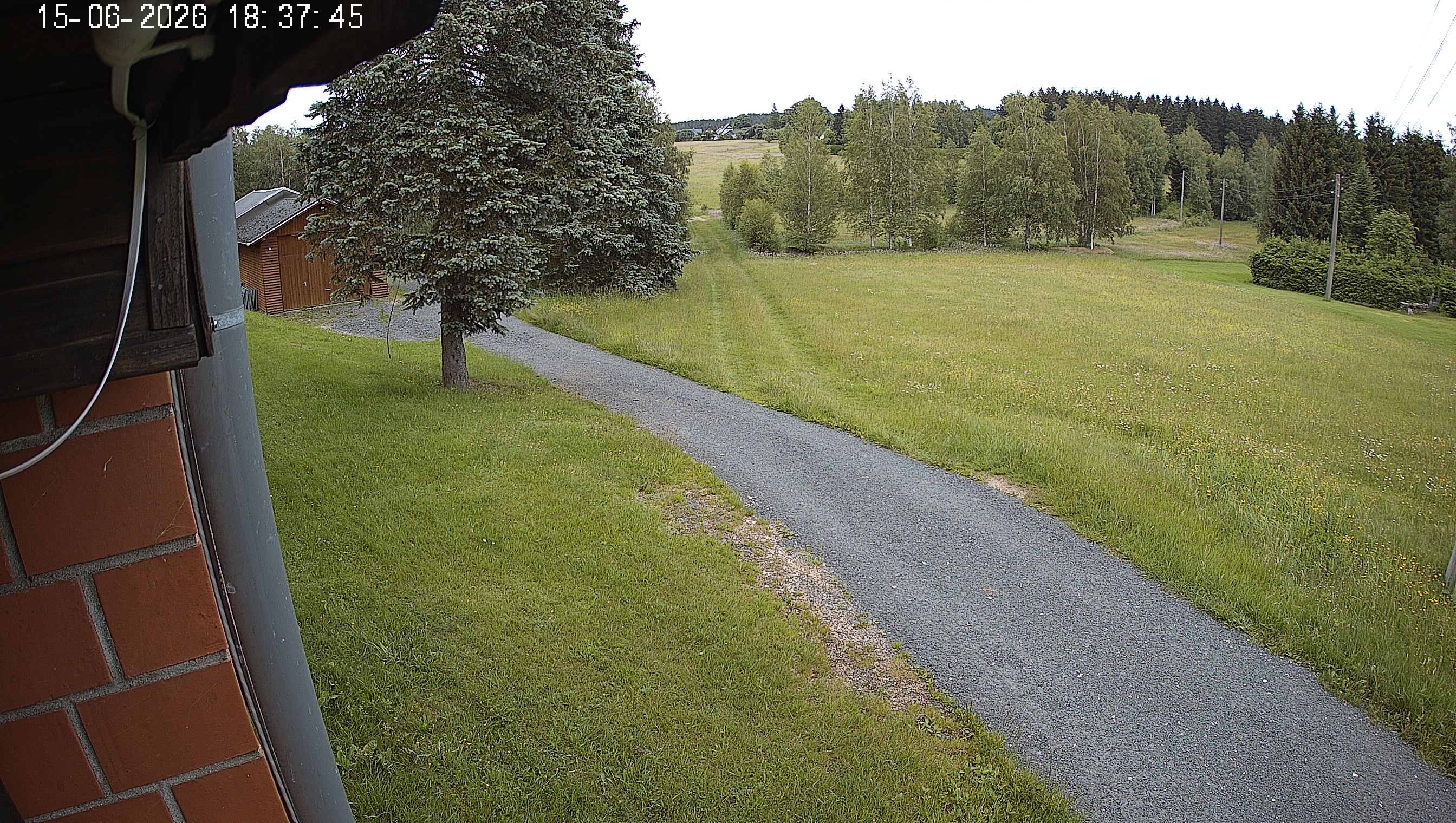 Webcam img missing