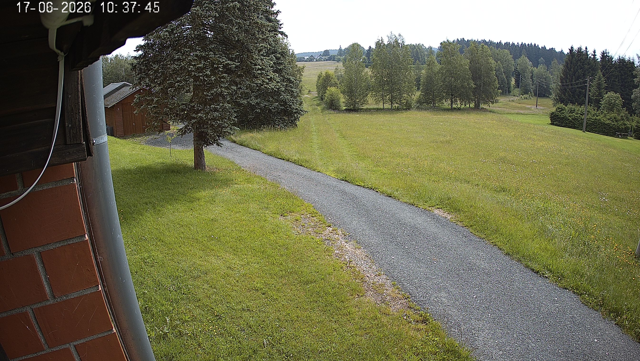 Webcam img missing