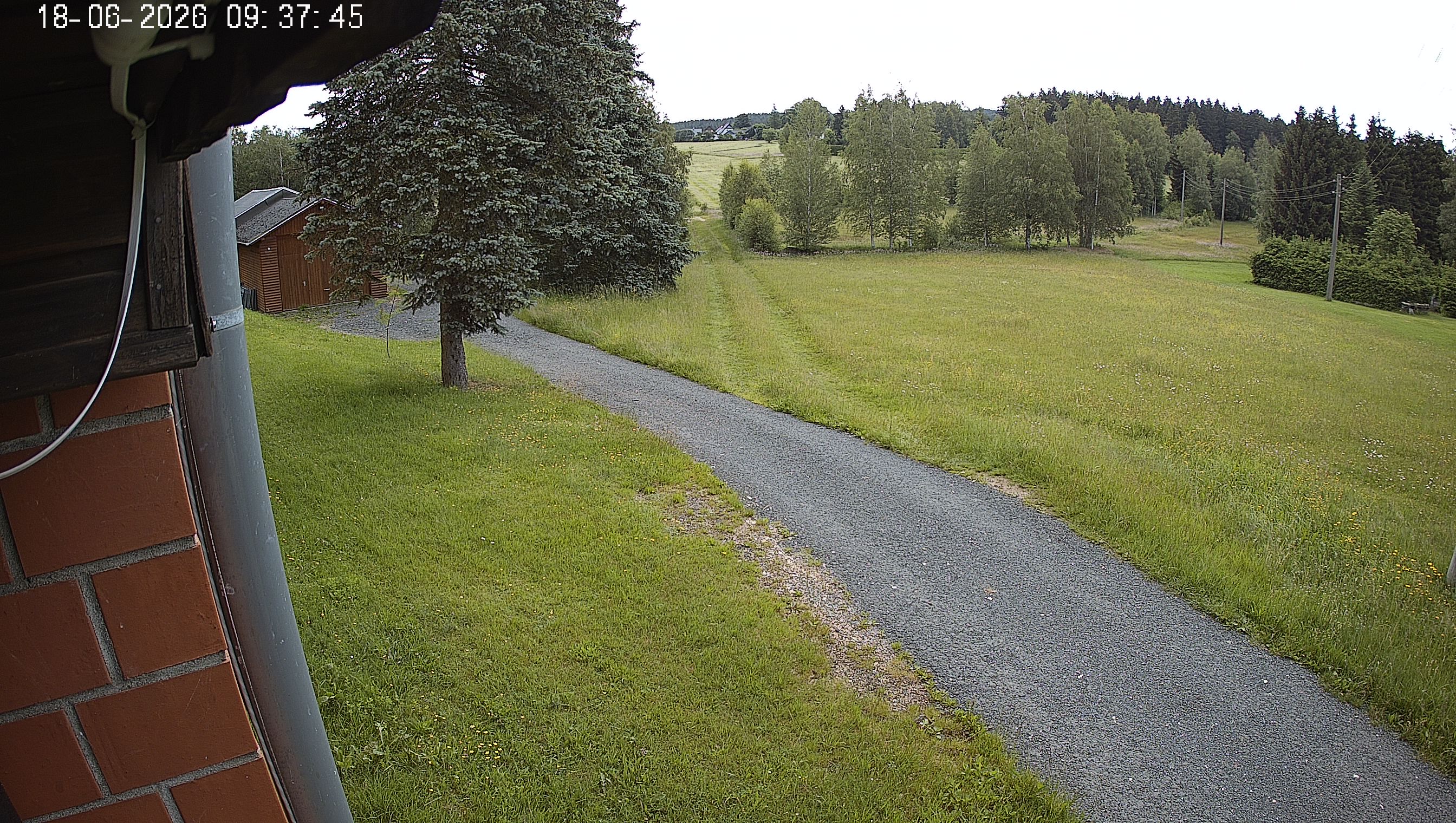 Webcam img missing