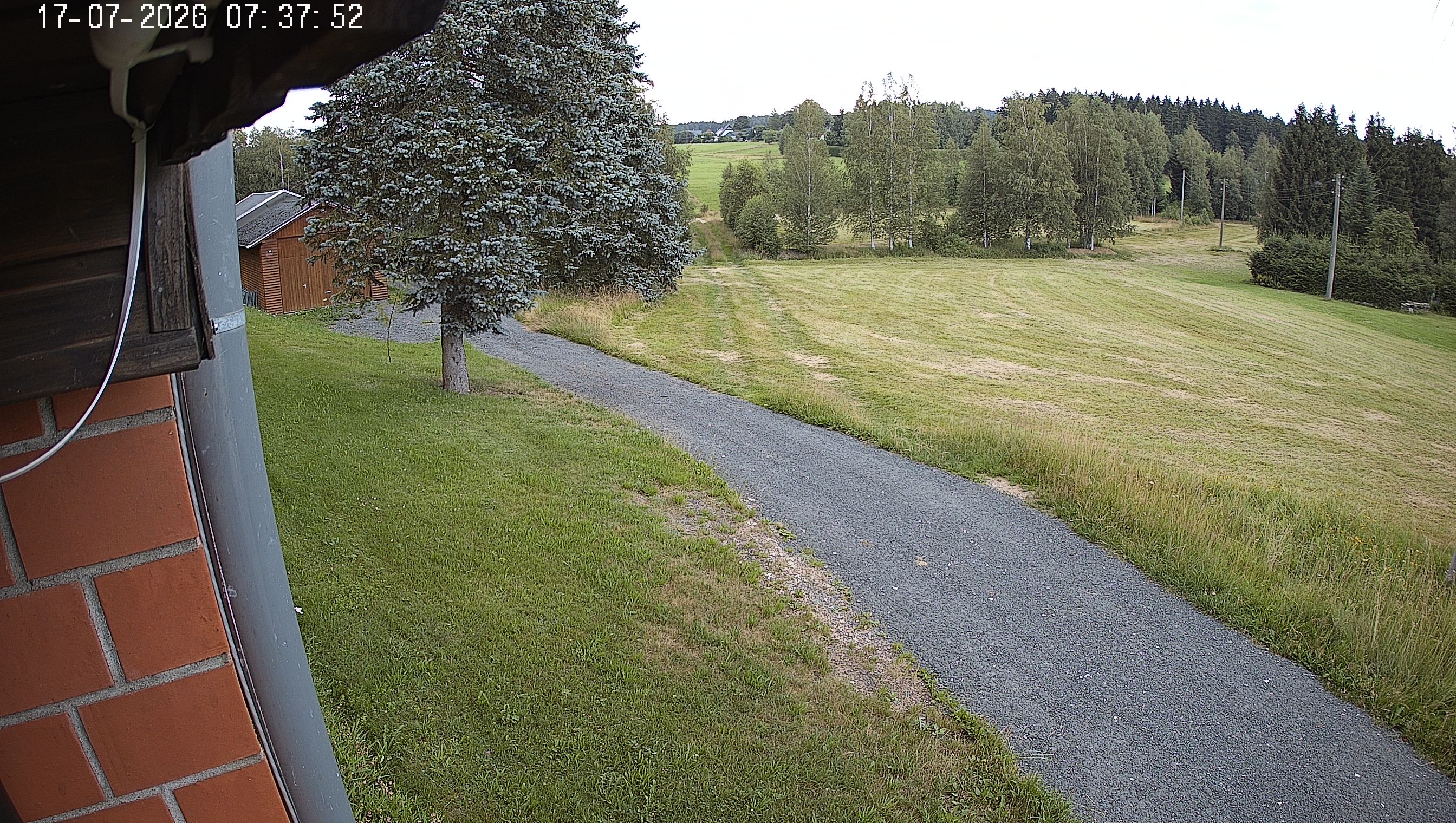 Webcam img missing